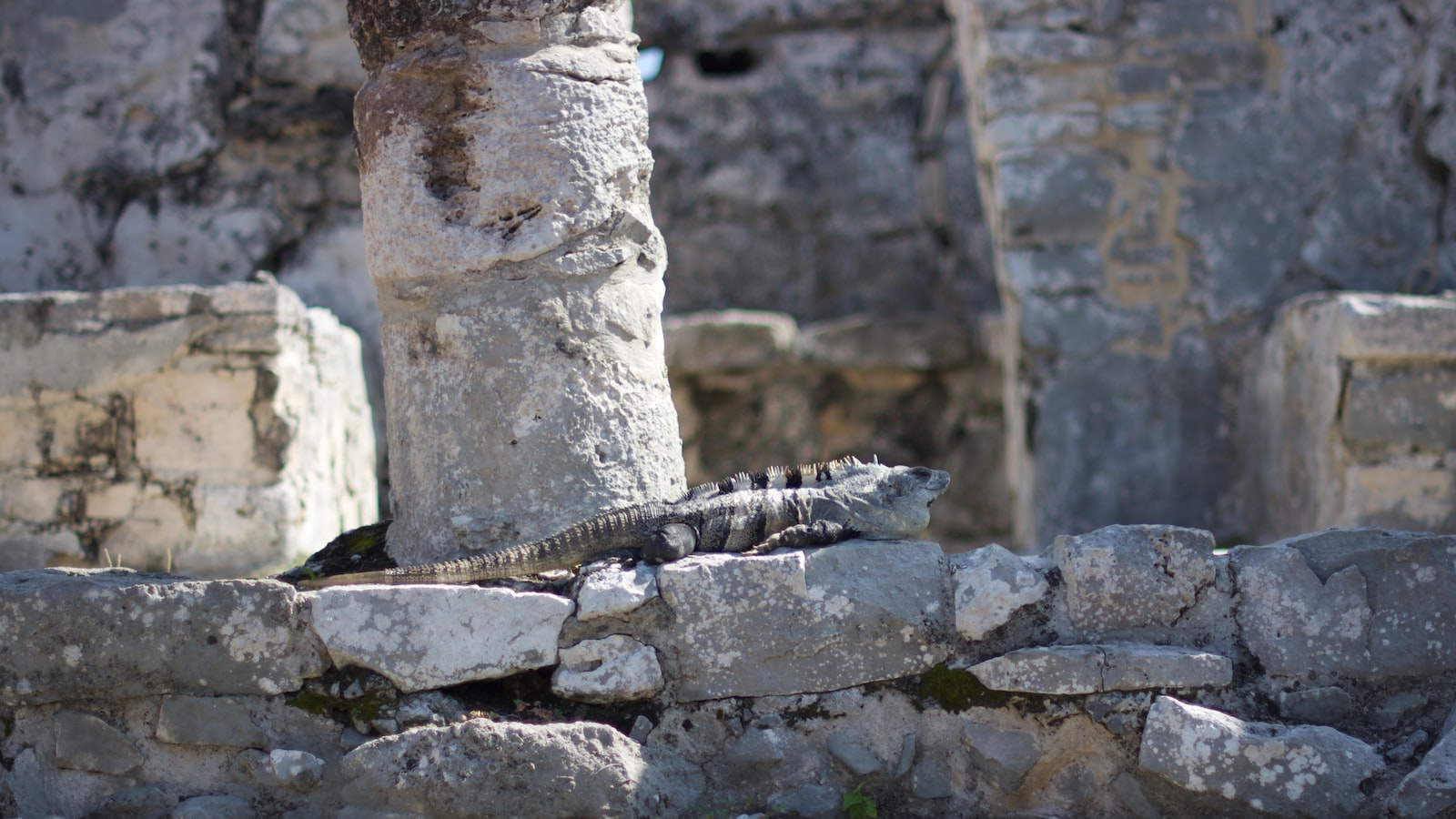 Preservation Efforts: Safeguarding Slovenia's Roman Ruins for Future Generations