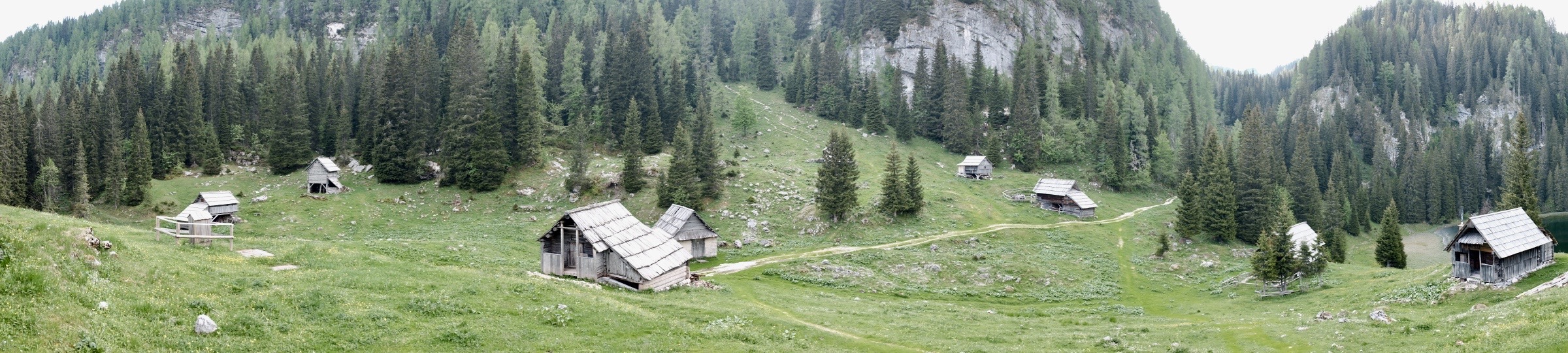 Savoring Slovenian Honey: A Taste of Nature’s Sweetness