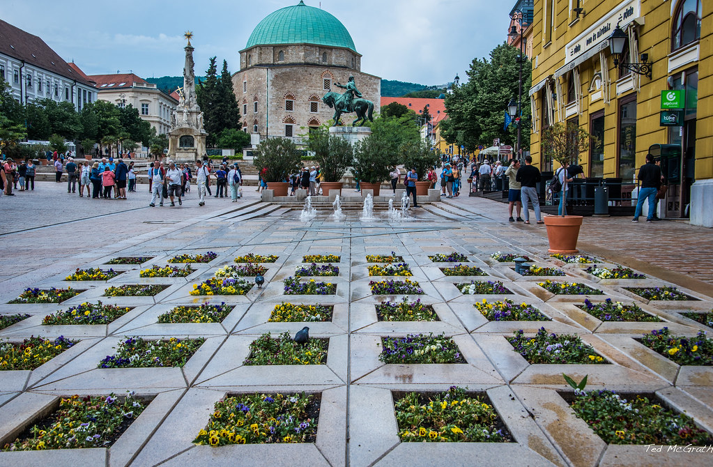 Immersing in Pécs' Culinary Delights and Local Traditions