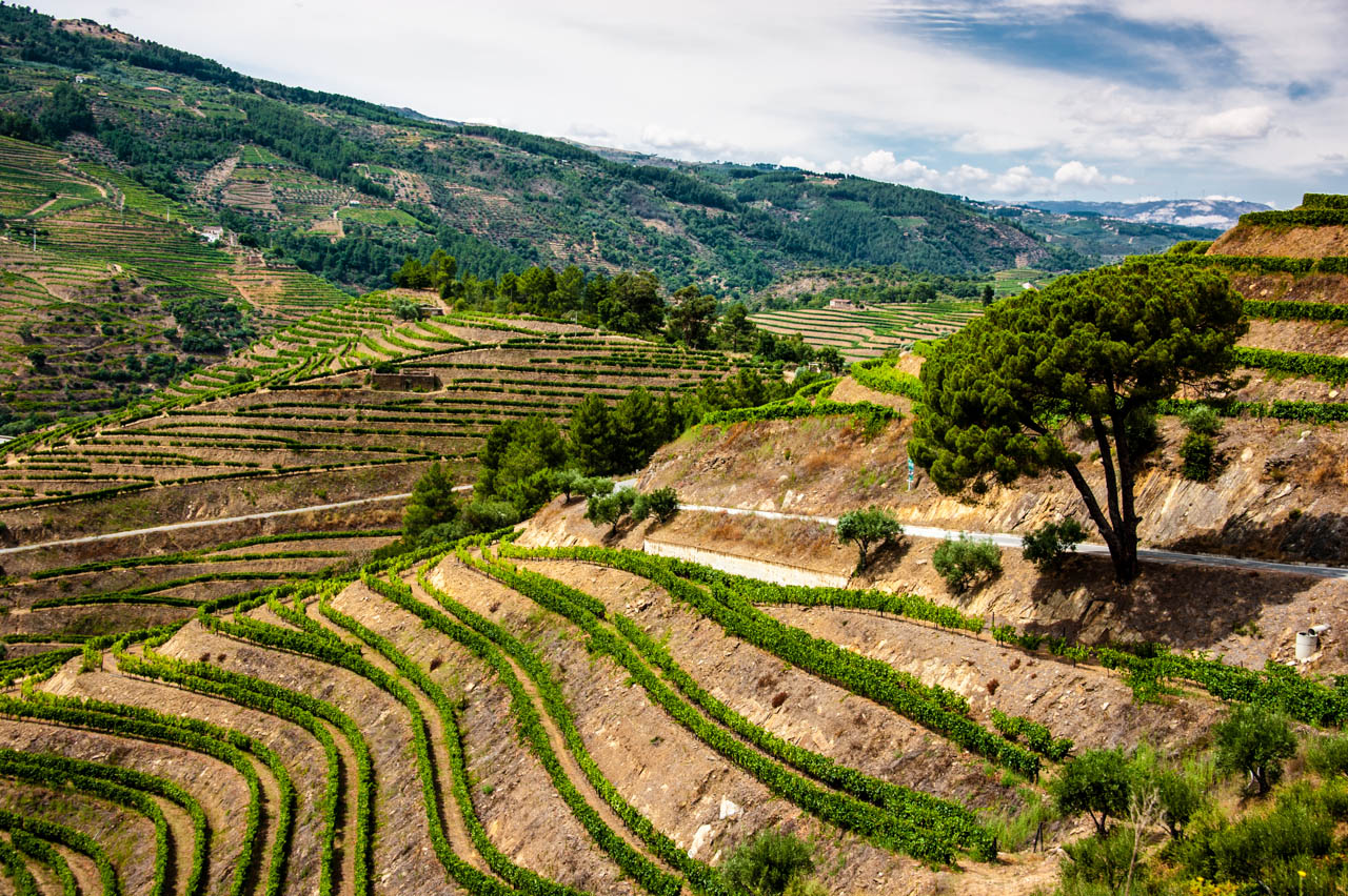 Exploring the Romantic Douro Valley: Portugal’s Breathtaking Wine Country