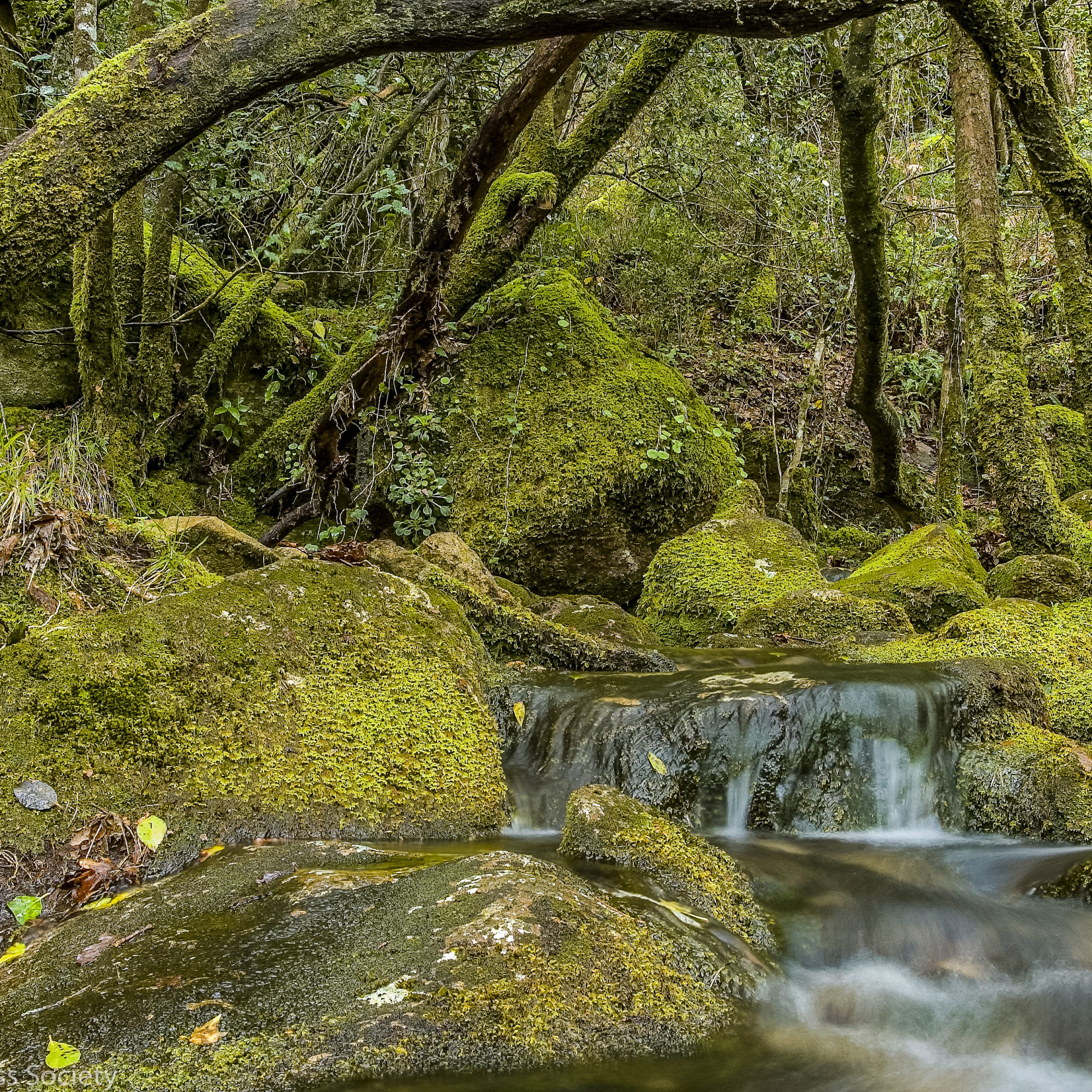 The Mystical Forests of Gerês: Exploring Portugal’s National Park