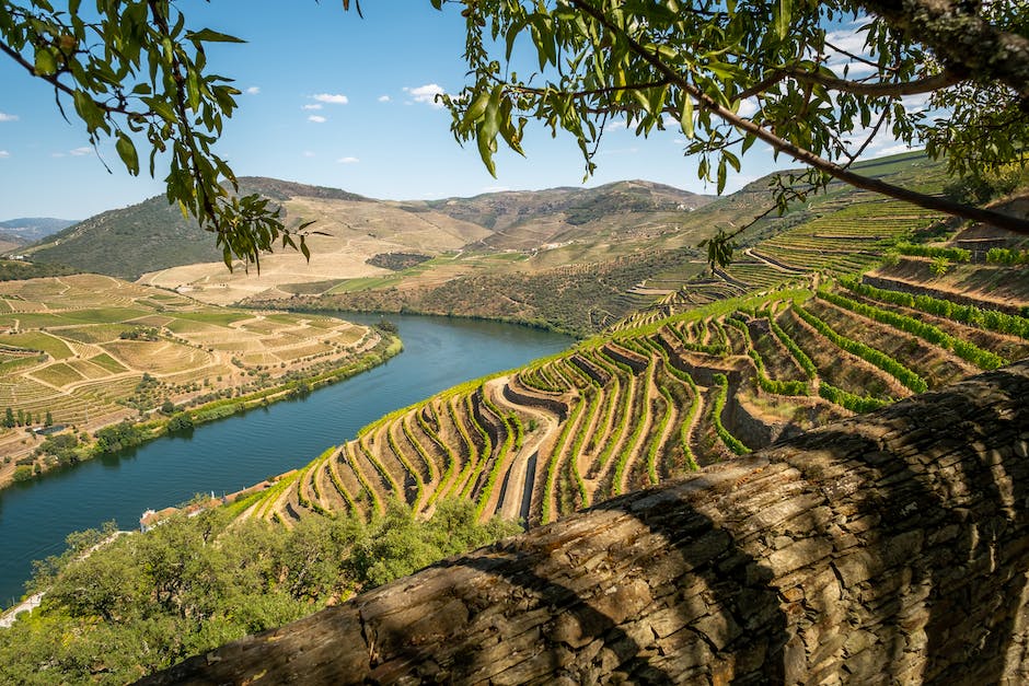 A Journey Through Time: Unveiling the Rich History of the Douro Valley