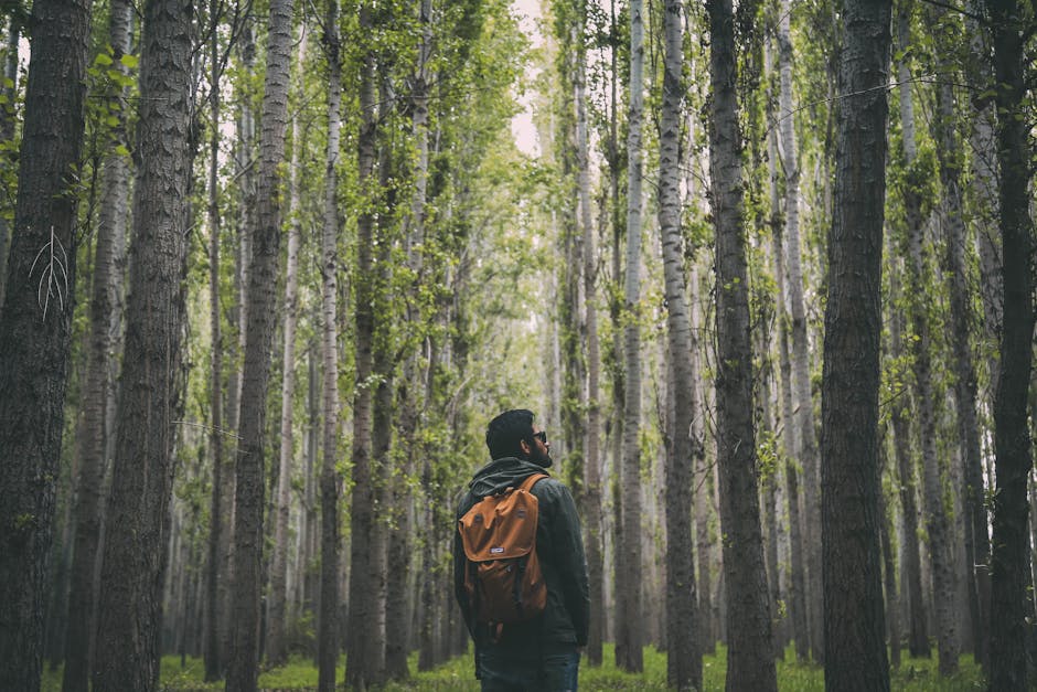 Exploring the Purpose of 